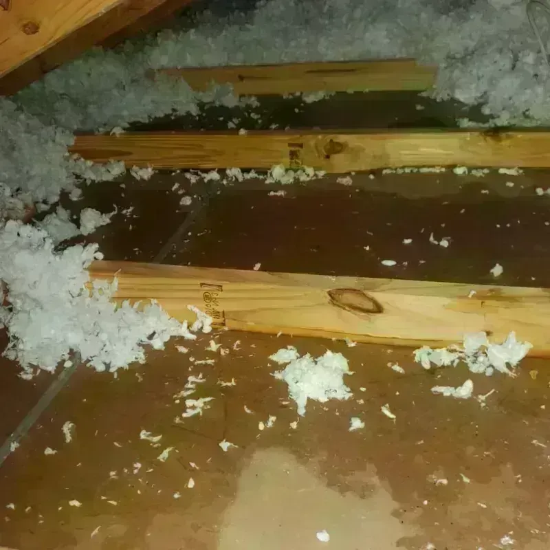 Attic Water Damage in Cotuit, MA